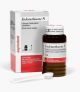 Endomethasone N por 14g